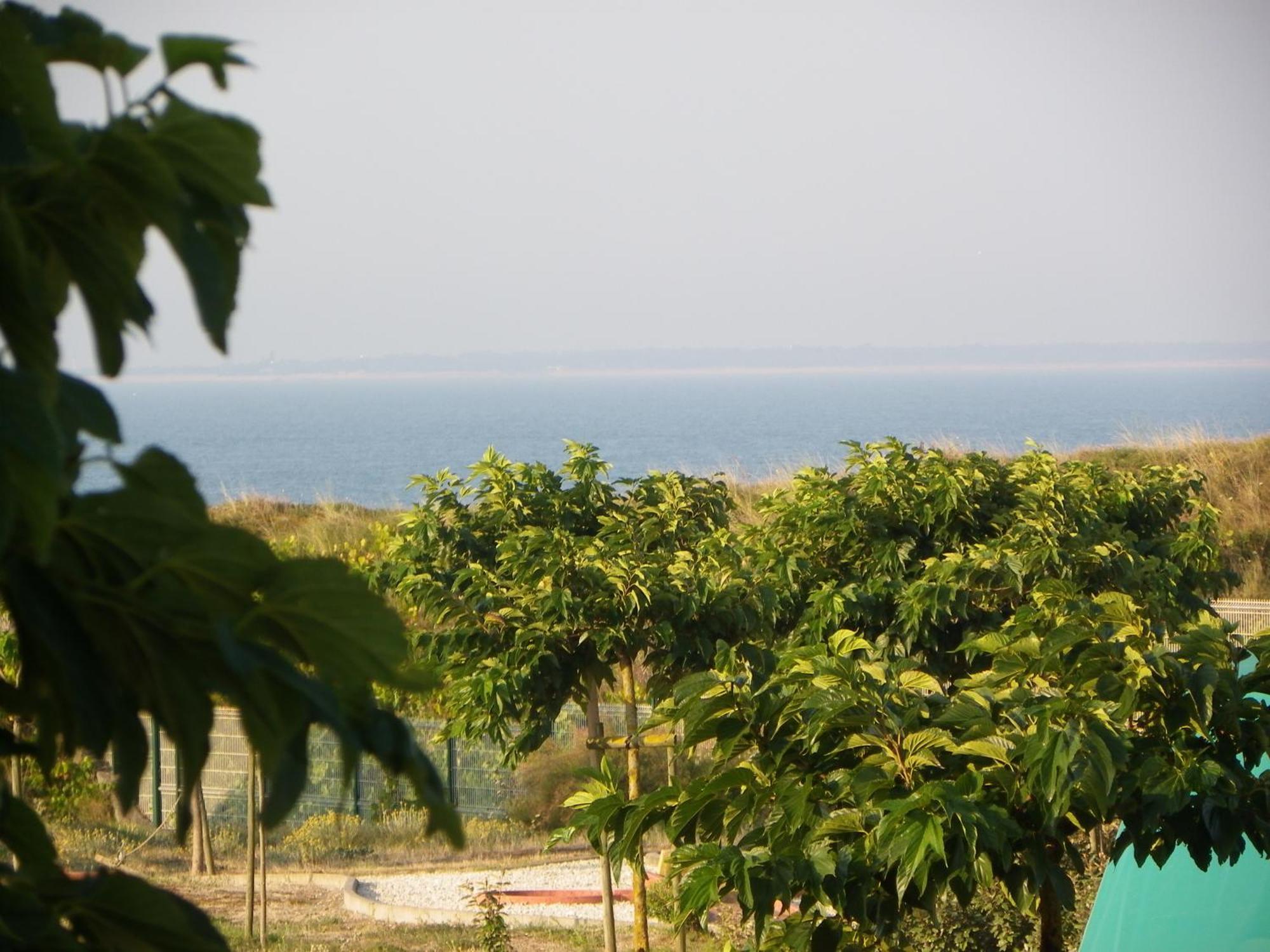 Au Petit Bonheur Otel La Tranche-sur-Mer Dış mekan fotoğraf